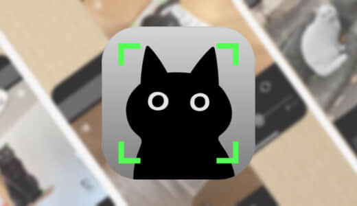【黒猫カメラ】黒猫の写真を撮ることに特化したカメラアプリ！